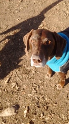 Please Dont Make Me Wear My Coat!